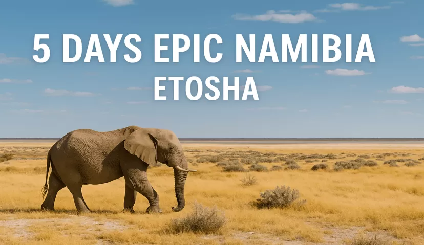 5 Days Epic Namibia